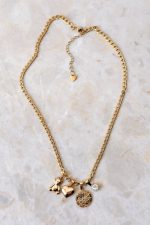 Teddy Gold - Image 2